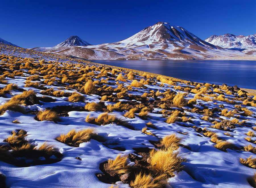 Laguna Miscanti - S Pedro del Atacama - Chile
