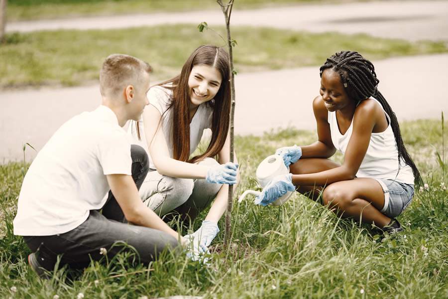 Cr&eacute;ditos: Freepik