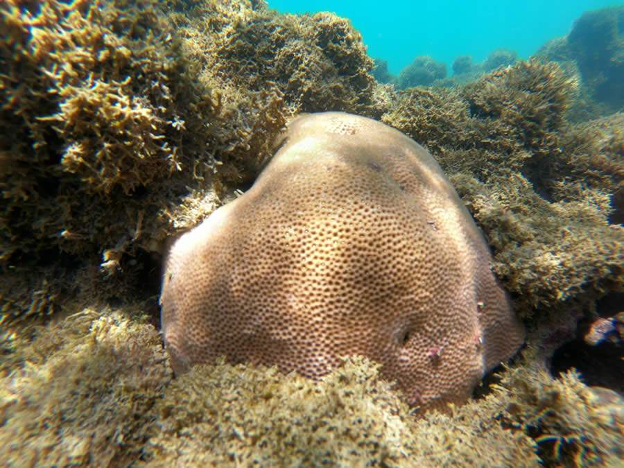 Cr&eacute;dito: Funda&ccedil;&atilde;o Grupo Botic&aacute;rio/Divulga&ccedil;&atilde;o