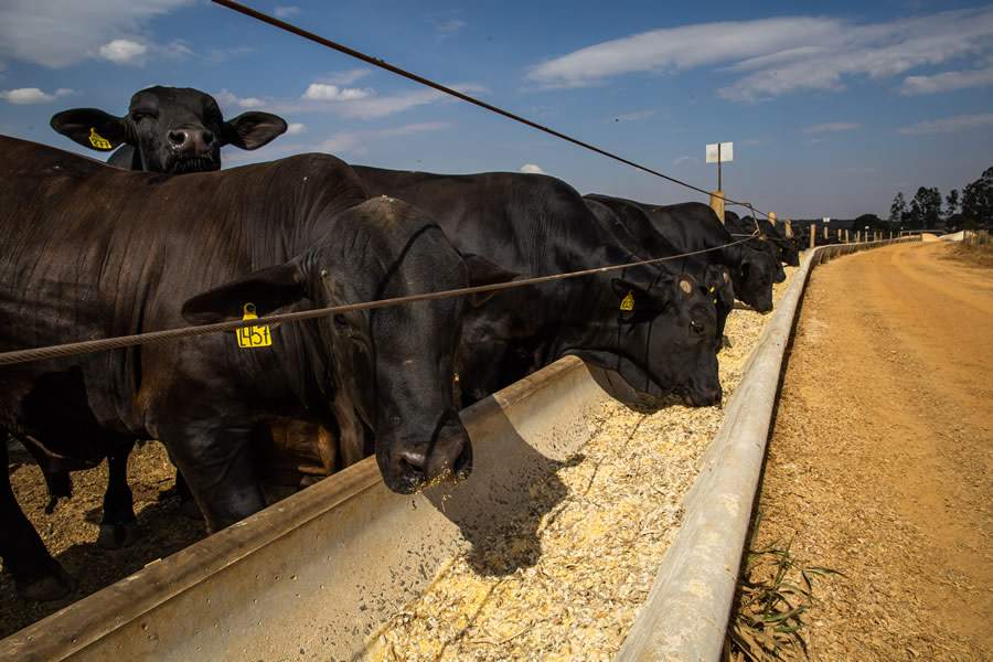  Foto: Confederação da Agricultura e Pecuária do Brasil (CNA)