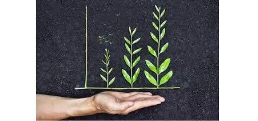 Crescimento sustent&aacute;vel na agenda de prioridades das empresas em 2021