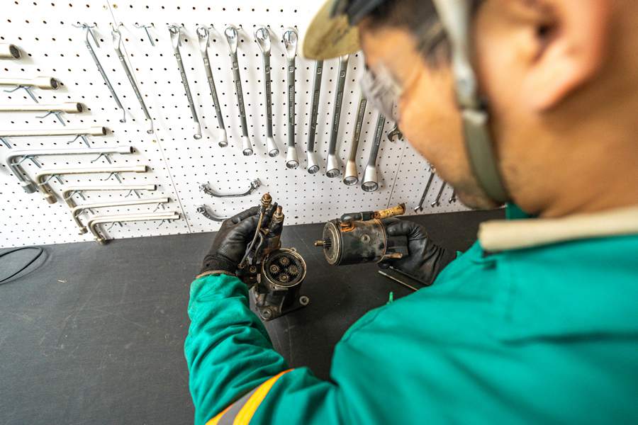 Divulgação Eldorado Brasil Celulose