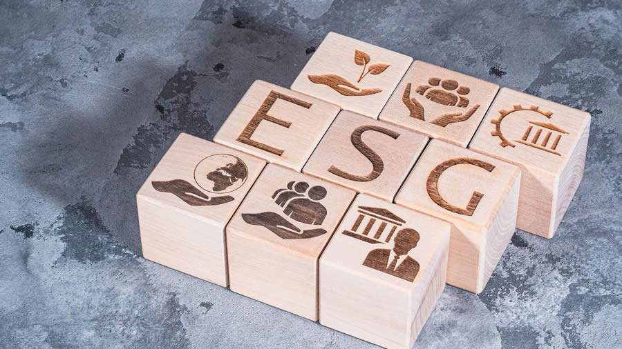 Veja 10 raz&otilde;es para a sua empresa se comprometer com ESG