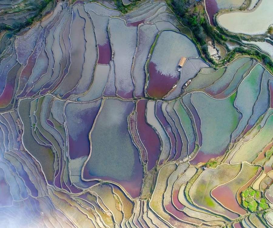 NetApp melhora a pegada de carbono - Divulga&ccedil;&atilde;o