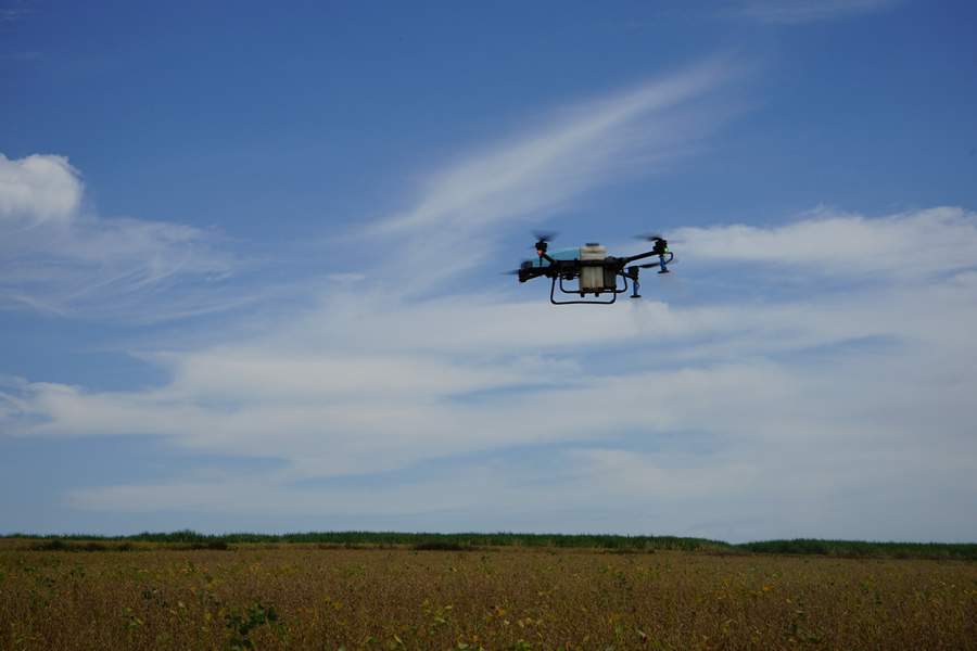 A utilização de drones no campo está mudando esta realidade e facilitando este manejo com segurança, facilidade de operação, mais eficácia e maior eficiência