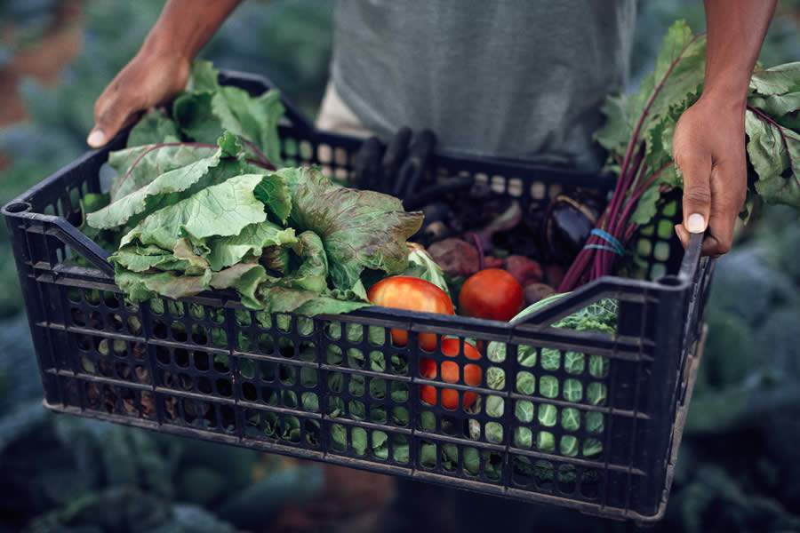 Maersk firma parceria com universidade para criar tecnologia que previne desperd&iacute;cio de alimentos
