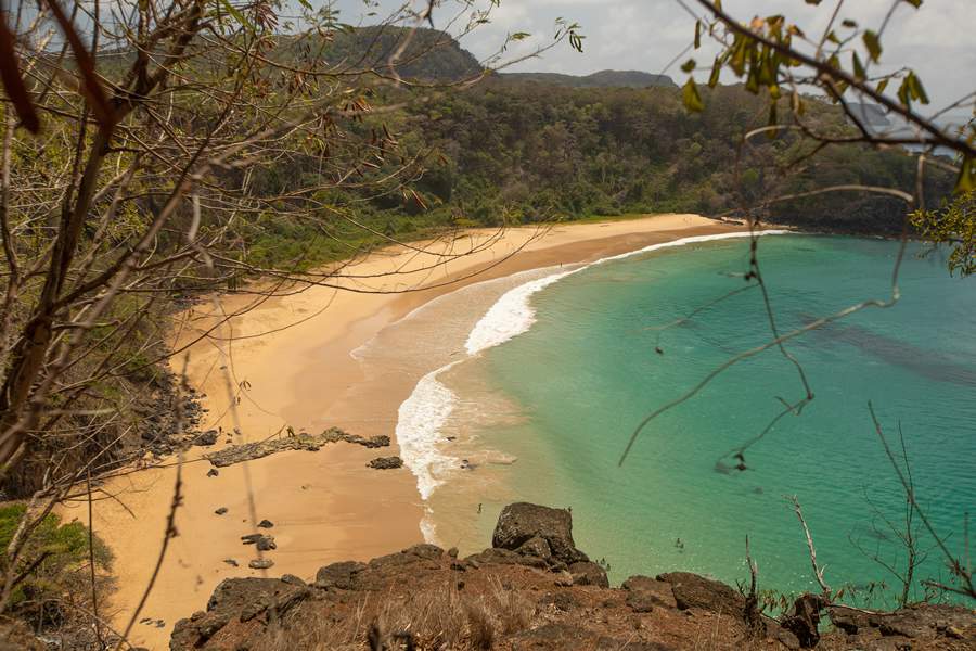 Fernando de Noronha - Charles