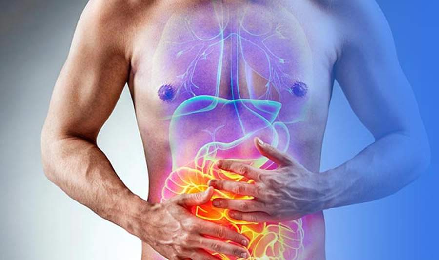 Crédito: Divulgação