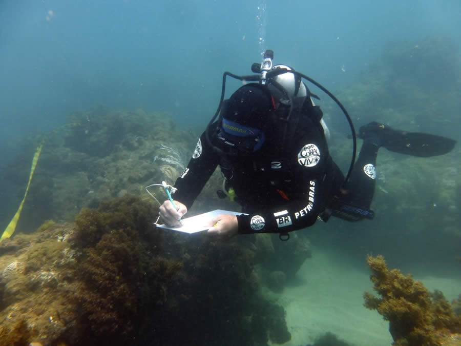 Projeto Coral Vivo sai em expedição para monitorar a saúde dos recifes de coral no sul da Bahia