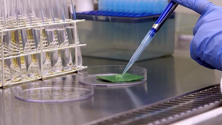 Qual a import&acirc;ncia do controle microbiol&oacute;gico no combate &agrave; pandemia?