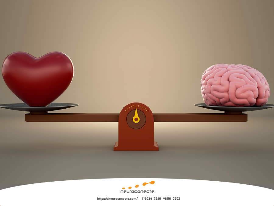 Crédito: Divulgação