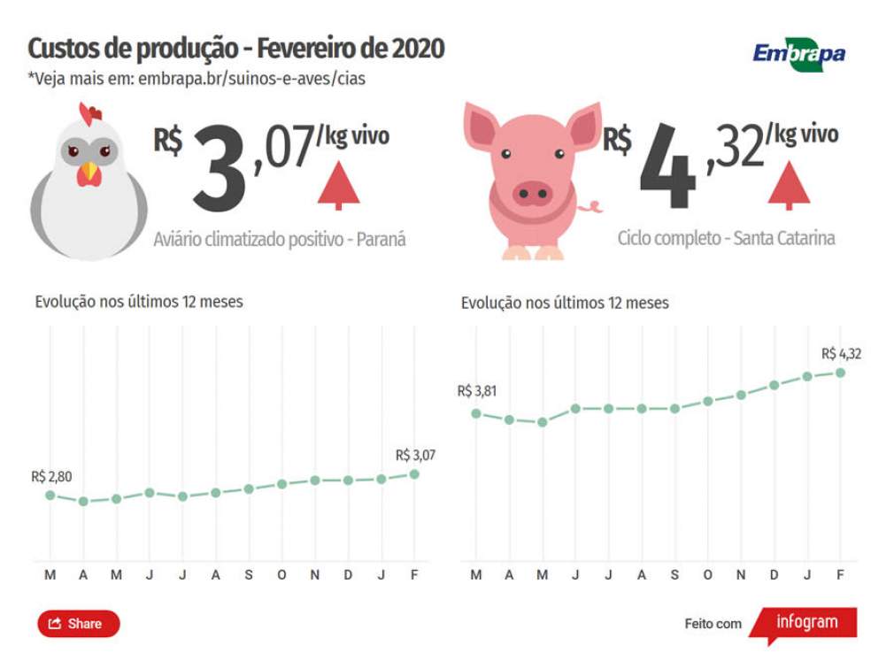 Custos de produção de suínos e de frangos de corte sobem em fevereiro