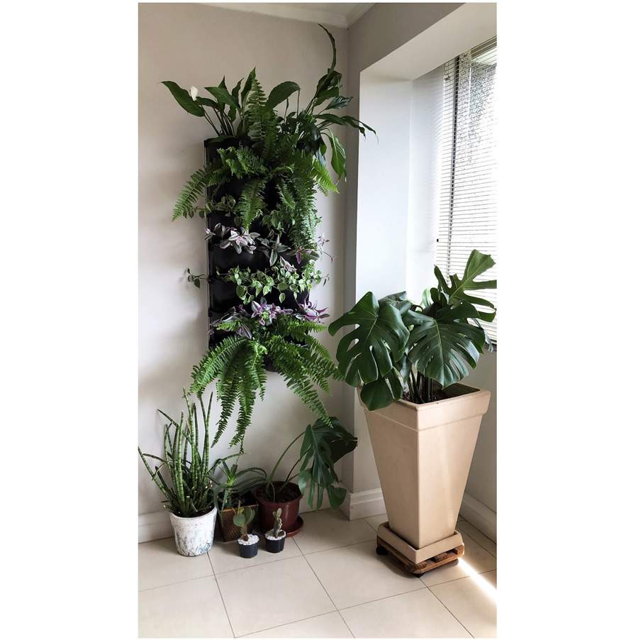 Faca voc&ecirc; mesmo: confira passo a passo para come&ccedil;ar o seu primeiro jardim vertical