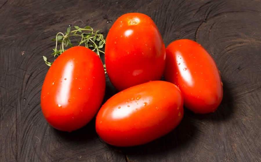 Horticeres Sementes e Rezende Agrícola lançam o projeto “Sabor de Verdade” e promovem nova proposta para plantio de tomate