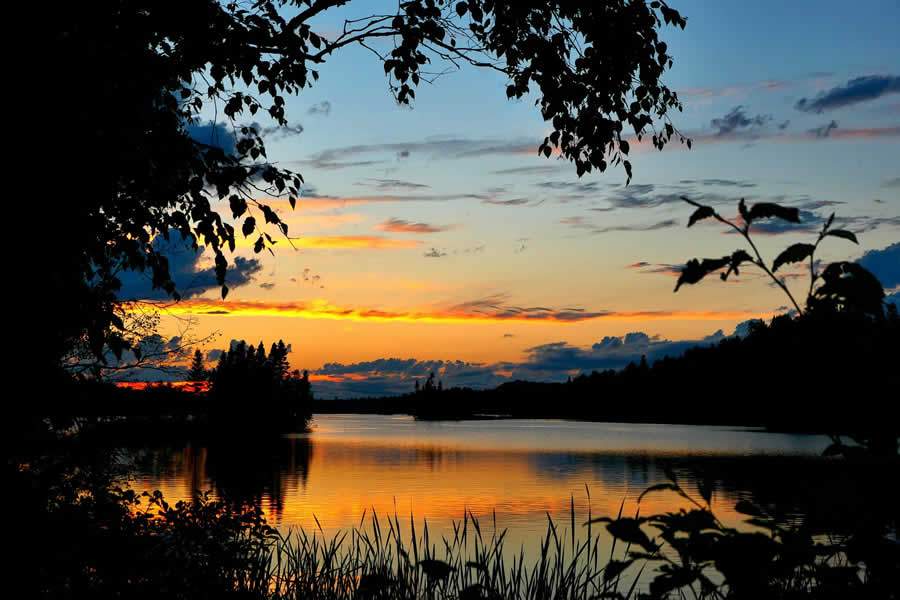 Foto Divulga&ccedil;&atilde;o / Pixabay