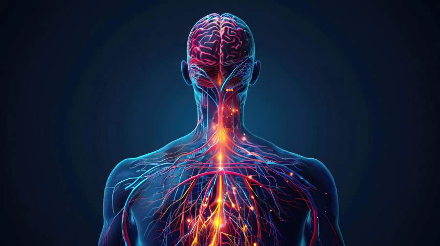 Hemodinâmica_cirurgia Vascular- HAS Divulgação