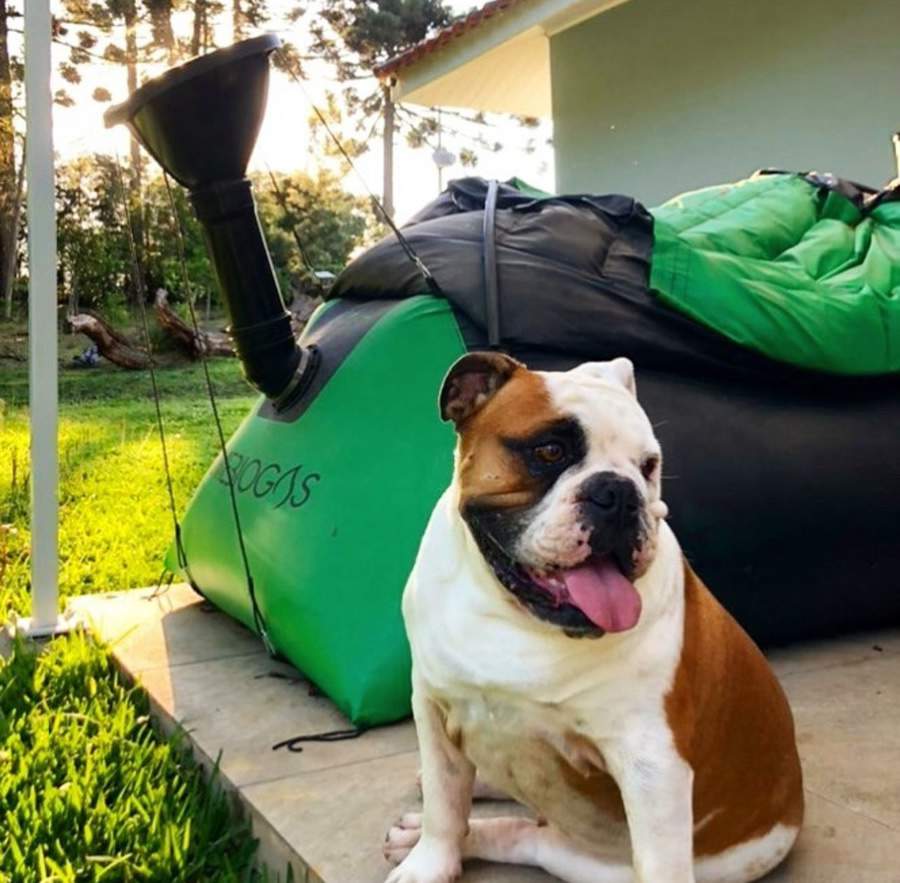 Biodigestor que transforma o coc&ocirc; dos PETs em biog&aacute;s para cozinhar ser&aacute; apresentado no Pet Day maior evento Pet da Regi&atilde;o de Santo Amaro, SP