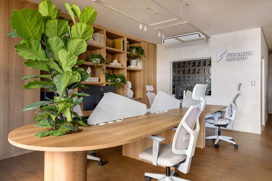 Clasen-Fischer - Crédito: Divulgação