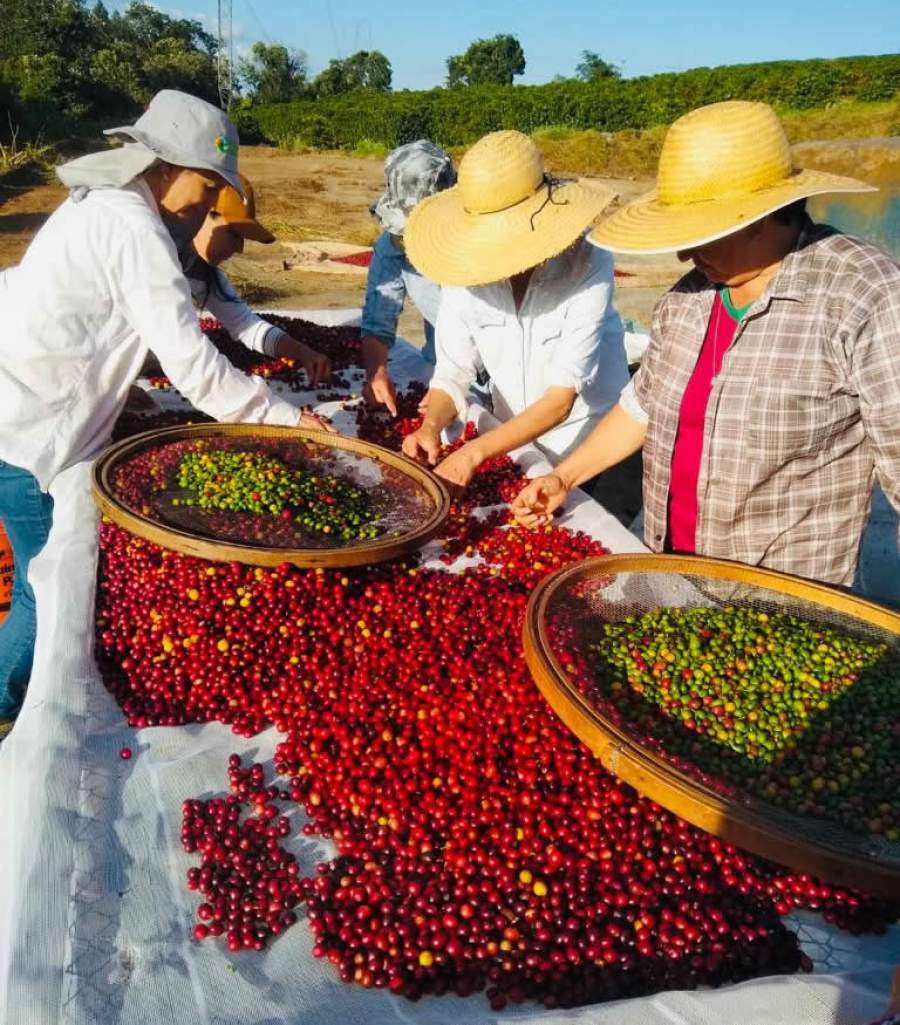Imagem: Divulgação