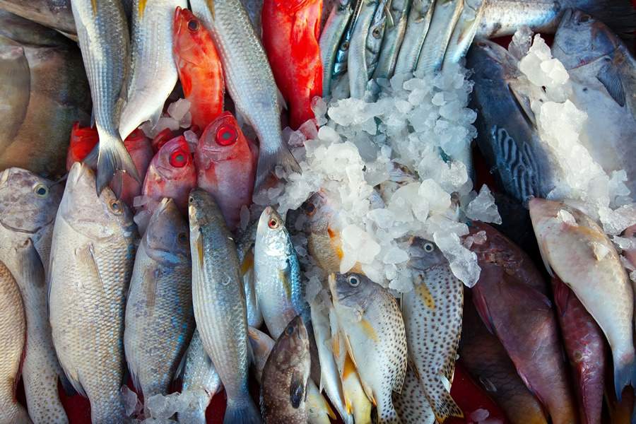 Na quaresma, confira os benef&iacute;cios do consumo do peixe