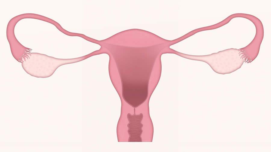 Câncer de colo de útero: campanha alerta para a importância do diagnóstico precoce