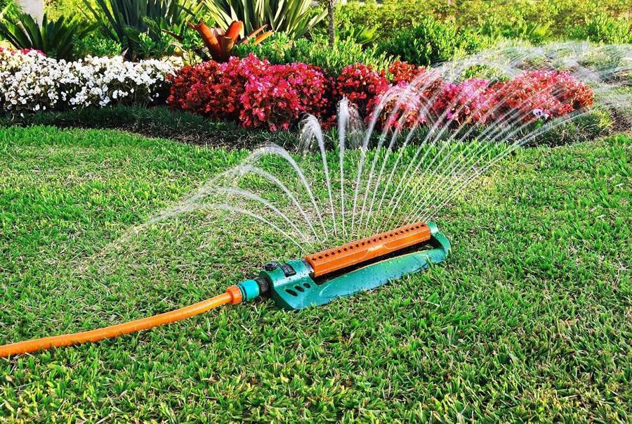 Calor exige mais cuidados com o gramado