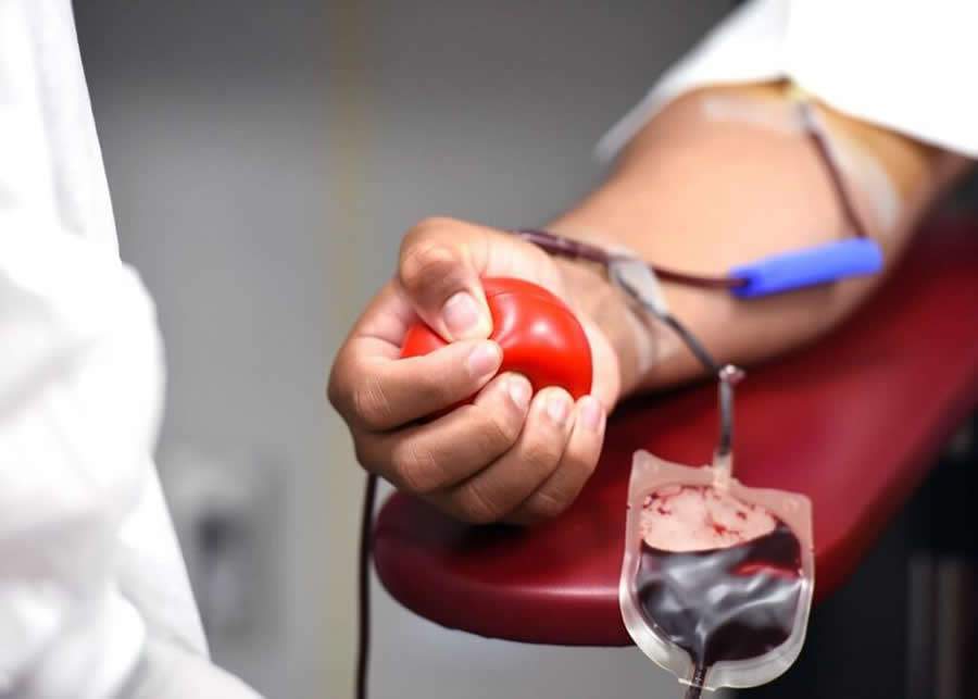 Inverno diminui doa&ccedil;&otilde;es de sangue; especialista esclarece as d&uacute;vidas comuns da popula&ccedil;&atilde;o - Divulga&ccedil;&atilde;o