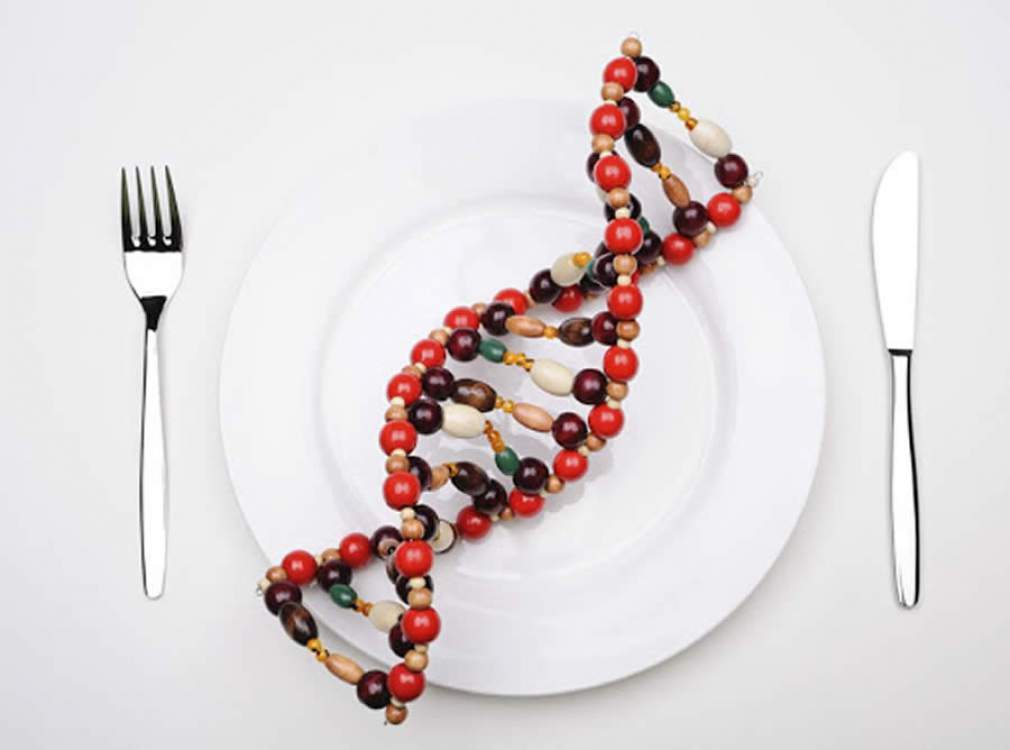 Exames genéticos podem ajudar a potencializar resultados do acompanhamento nutrológico