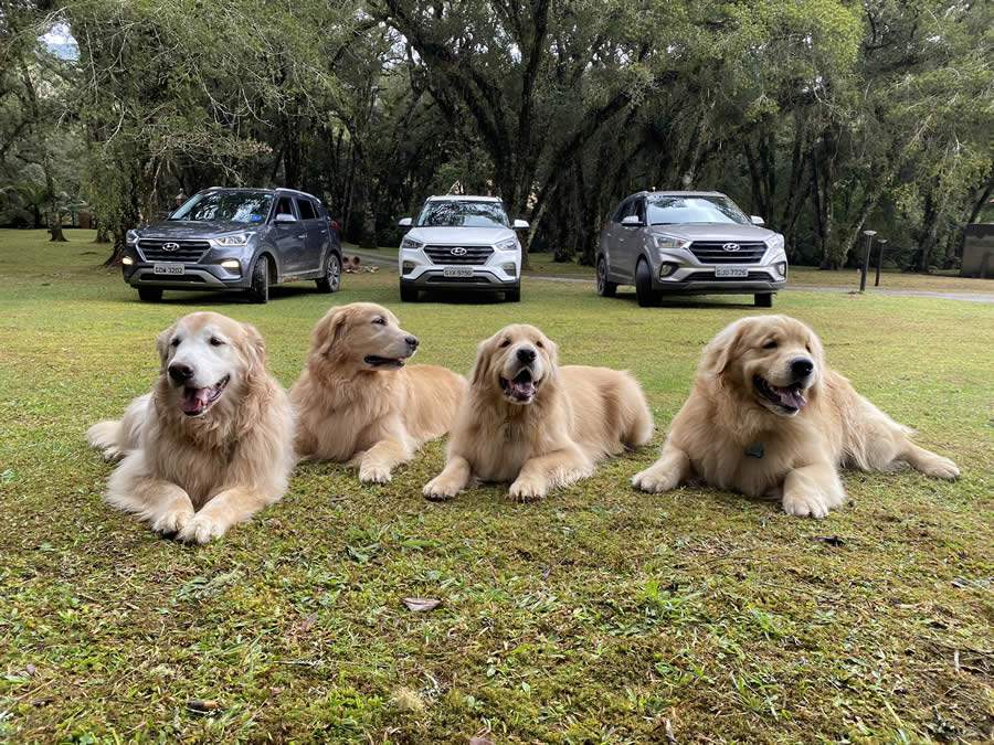 A bordo dos modelos HB20 e Creta, Socorro (SP) ser&aacute; a pr&oacute;xima parada do projeto &ldquo;Expedi&ccedil;&otilde;es Ol&aacute; Pet!&rdquo;