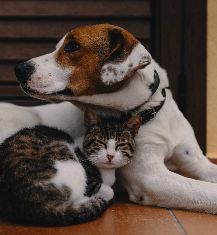 Imagem: Divulga&ccedil;&atilde;o