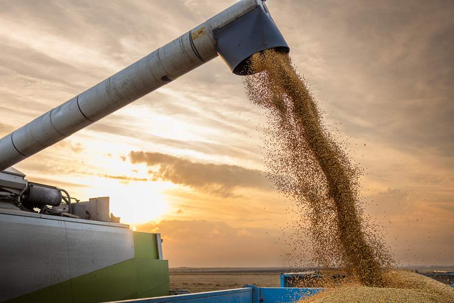  Cr&eacute;dito: Shutterstock