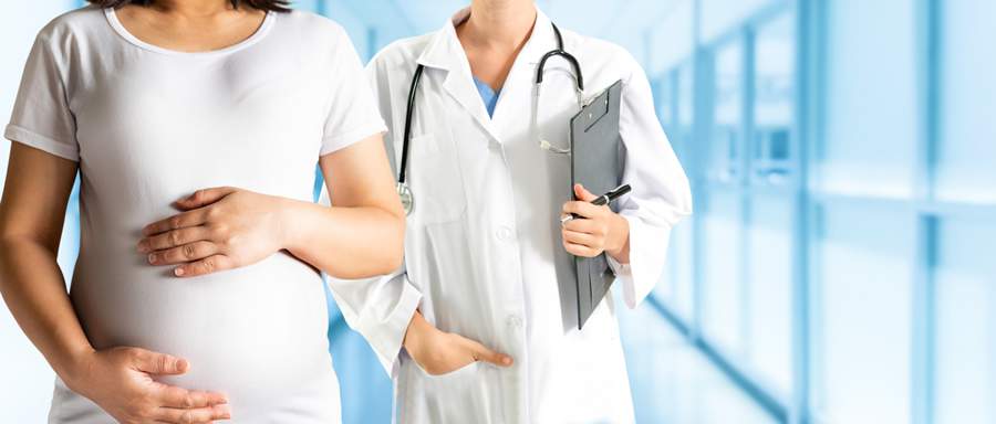 Reprodução assistida - Divulgação