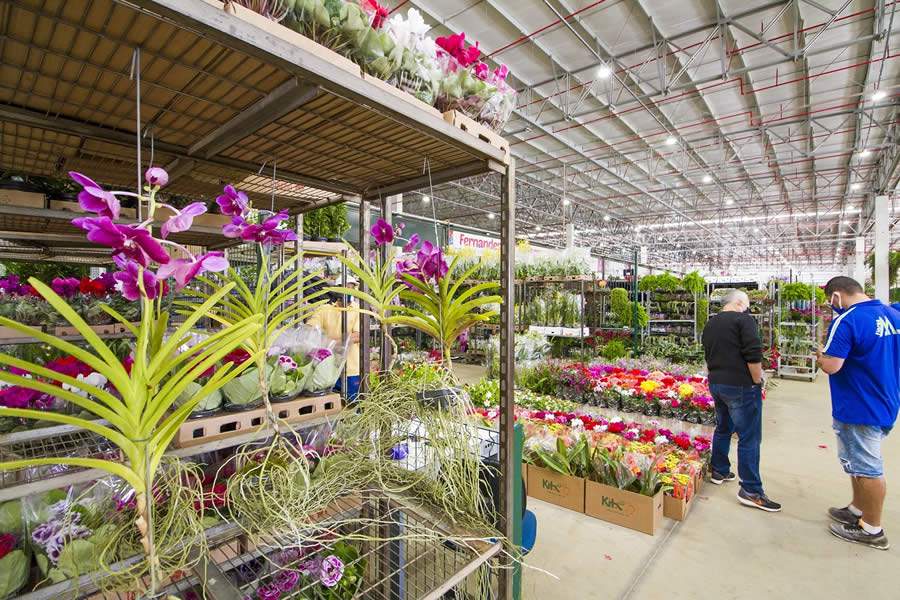Grande variedade de produtos estimula o consumo de flores e plantas - Divulgação