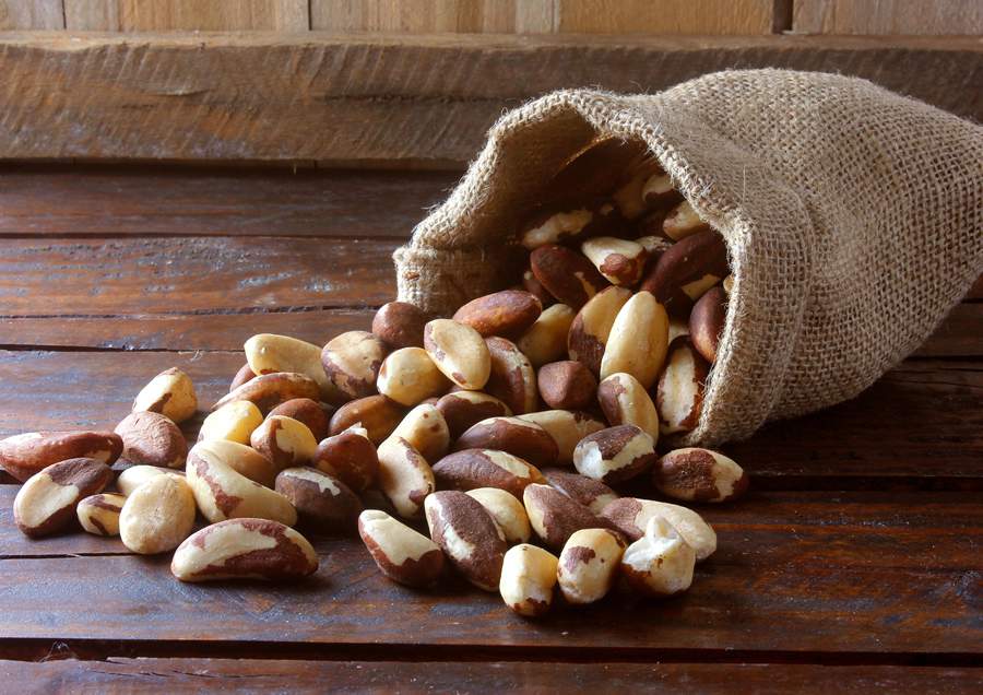 Castanha do Brasil - Divulgação