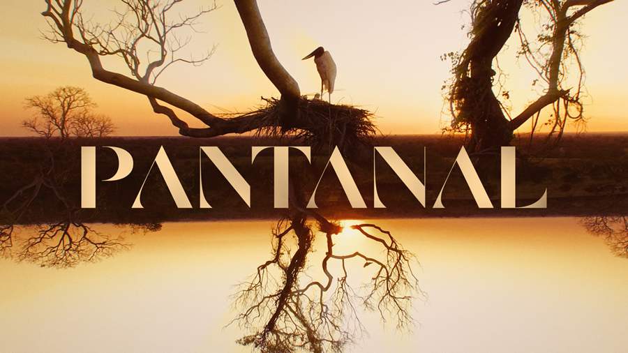 Pantanal Logo - Cr&eacute;dito: Divulga&ccedil;&atilde;o