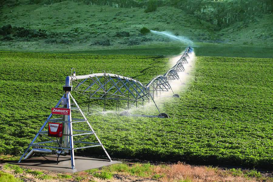 Irrigação eficiente precisa ser sustentável e econômica