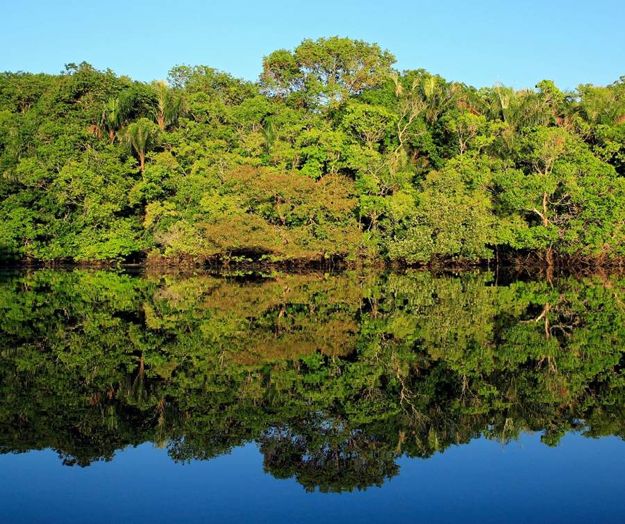 Amaz&ocirc;nia - Divulga&ccedil;&atilde;o
