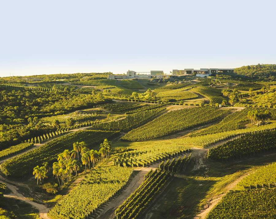 Bodega Garzón - Vineyards &amp; Winery