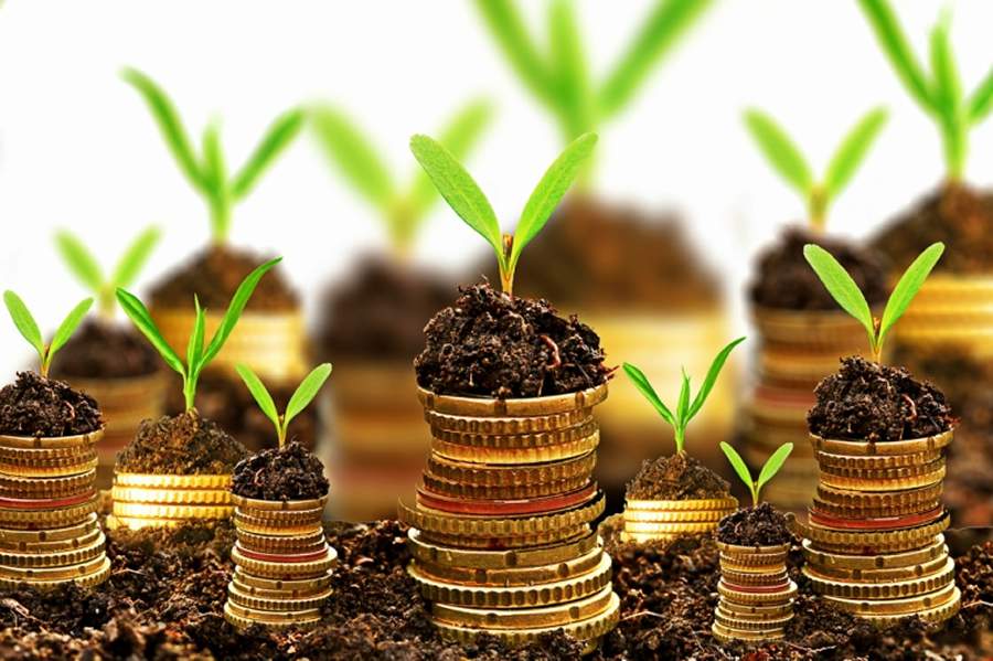 Sonhagro - Divulgação