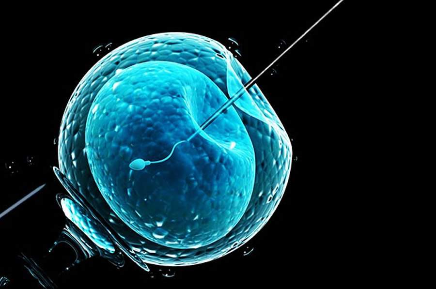    O papel dos testes genéticos antes da FIV: o que vale a pena considerar?  Exames da linha Bioma Precision ajudam médicos e pacientes a personalizar o tratamento e aumentar as chances de sucesso na fertilização in vitro  A fertilização in vitro (FIV) é uma alternativa cada vez mais comum para mulheres que enfrentam dificuldades para engravidar. No entanto, o sucesso do procedimento depende de uma série de fatores – muitos deles invisíveis aos exames tradicionais. Com base na medicina de precisão, uma nova geração de testes genéticos permite investigar com maior profundidade as causas da infertilidade e personalizar o tratamento de forma mais assertiva.  É o que propõe a linha Bioma Precision, da healthtech brasileira Bioma Genetics. Os exames analisam desde a compatibilidade genética entre o casal até a receptividade do endométrio, passando por riscos de trombofilias hereditárias e alterações genéticas que podem impactar diretamente a implantação do embrião e o desenvolvimento da gestação.  “Nem sempre a dificuldade está no embrião ou nos hormônios. Muitas vezes, fatores genéticos silenciosos interferem no sucesso da FIV. Os testes genéticos ajudam a avaliar essas variáveis e recomendar condutas individualizadas”, explica Rafael Malagoli, CEO da Bioma Genetics e professor do Departamento de Ginecologia da Escola Paulista de Medicina da Universidade Federal de São Paulo (UNIFESP).  Os exames da linha Bioma Precision incluem testes que:  - Avaliam a compatibilidade genética entre os parceiros, identificando o risco de doenças genéticas hereditárias que podem ser transmitidas ao embrião. - Analisam a janela de implantação e a receptividade endometrial, contribuindo para definir o momento ideal para a transferência embrionária. - Investigam variantes genéticas associadas à falha de implantação e perdas gestacionais recorrentes. - Auxiliam na escolha do melhor embrião a ser implantado a partir da avaliação genética para verificar a presença ou não de alterações (exame PGT). - Avaliam o DNA do bebê a partir de coleta do sangue da mãe, para auxiliar no diagnóstico genético de diversas síndromes a partir da 8ª semana de gestação (exame NIPT)  Além de oferecer suporte técnico aos especialistas em reprodução assistida, os exames também ajudam os casais a entender melhor suas chances reais e a lidar de forma mais consciente com as etapas da FIV.  “Nosso objetivo é colocar a ciência a serviço da jornada da fertilidade, oferecendo mais previsibilidade, segurança e acolhimento nesse processo tão sensível”, complementa Malagoli.  Sobre a Bioma Genetics  Bioma Genetics é uma empresa pioneira na prestação de serviços de sequenciamento de microbioma humano no Brasil e na interpretação de seus resultados clínicos. Acreditamos na medicina personalizada, auxiliada por diagnósticos genéticos do microbioma de cada indivíduo, oferecidos a custo acessível, com grande precisão e no menor prazo possível. 