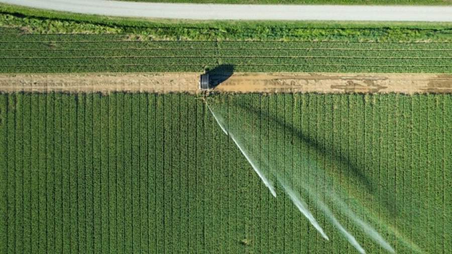 Cr&eacute;dito: Divulga&ccedil;&atilde;o 