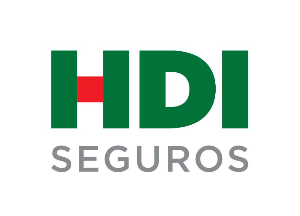 CEO da HDI atua em campo e lidera Força-Tarefa no Rio Grande do Sul