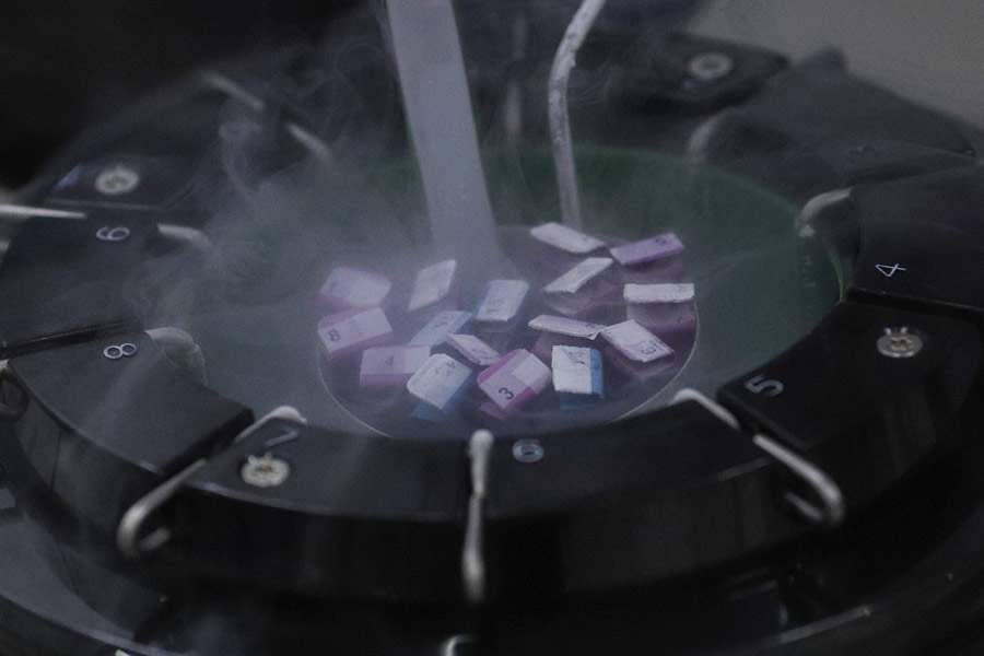 Flávio Tavares- O Tempo