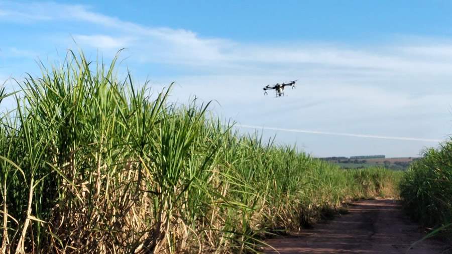 Plantas daninhas - Graminicida de última geração será apresentado na Herbishow 2022, em Ribeirão Preto-SP