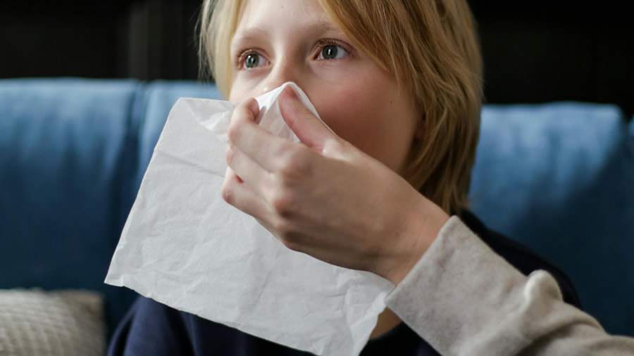 Cr&eacute;dito: Pexels