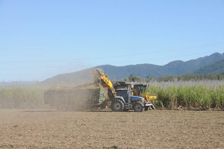 Suporte técnico é o caminho para capacitação da mão de obra no campo