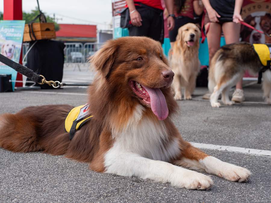     Divulga&ccedil;&atilde;o