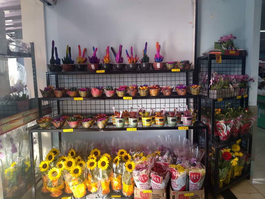 Pontos de vendas est&atilde;o abastecidos para vendas do Dia das M&atilde;es - Divulga&ccedil;&atilde;o