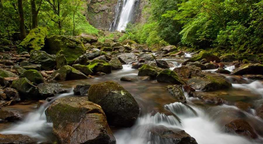 Grande Reserva Mata Atlântica é formada por dois milhões de hectares localizados nos estados do Paraná, São Paulo e Santa Catarina - Créditos: Fundação Grupo Boticário