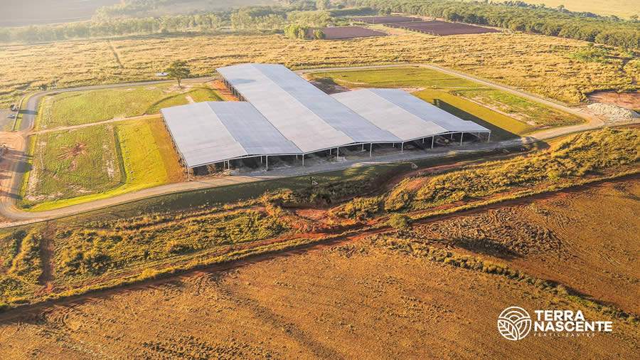 Grupo Katayama anuncia a criação da Terra Nascente Fertilizantes